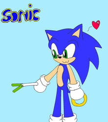 sonic the hedgehog