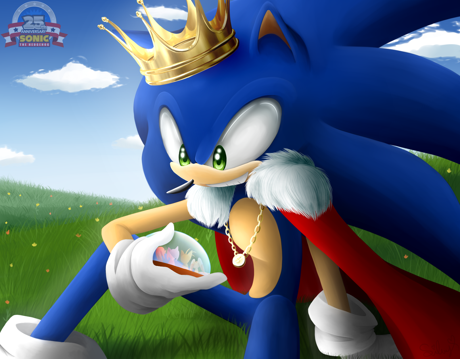 Sonic 25 Birthday