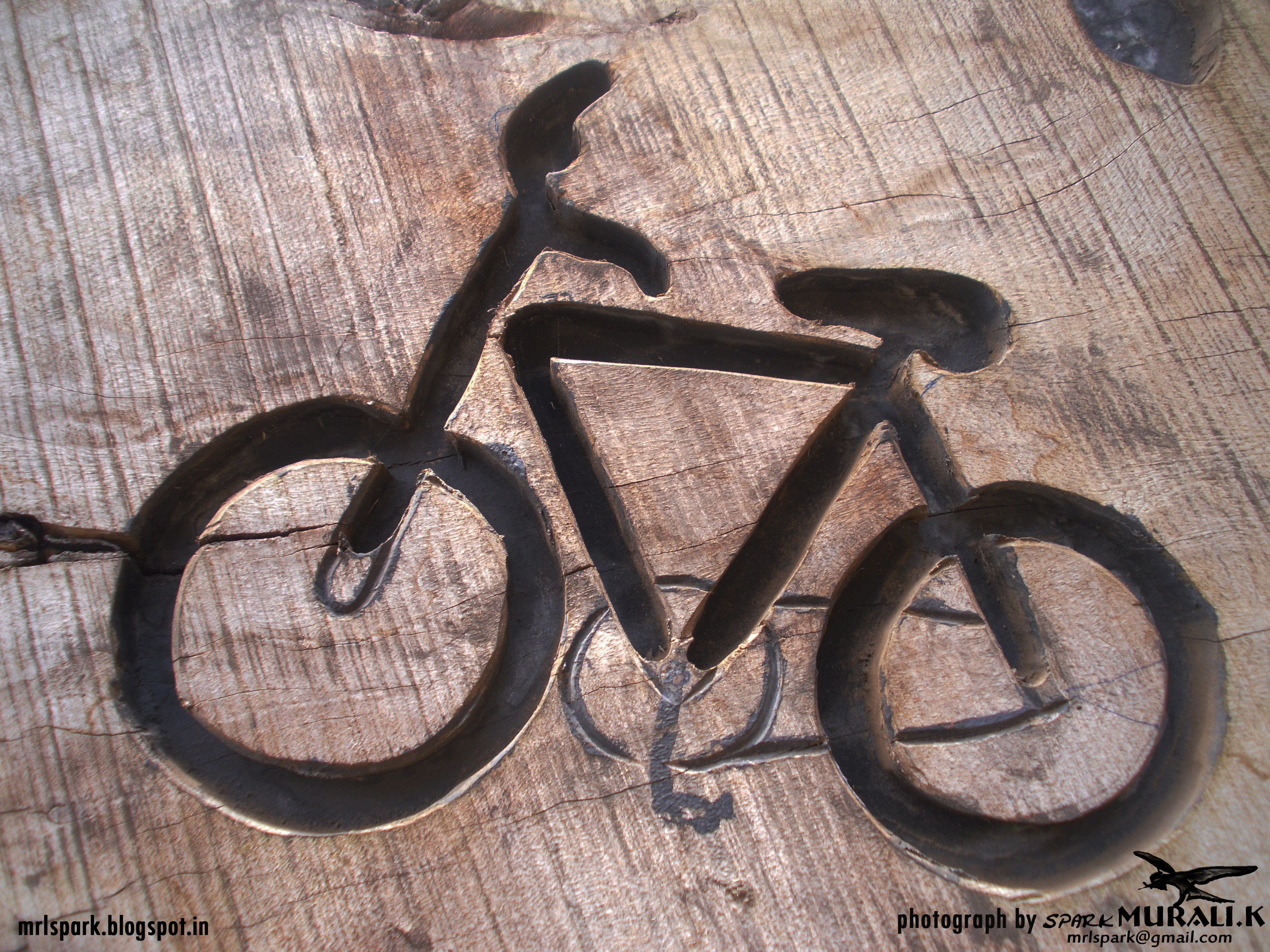 wood cycle art (photograph by spark MURALI.K)