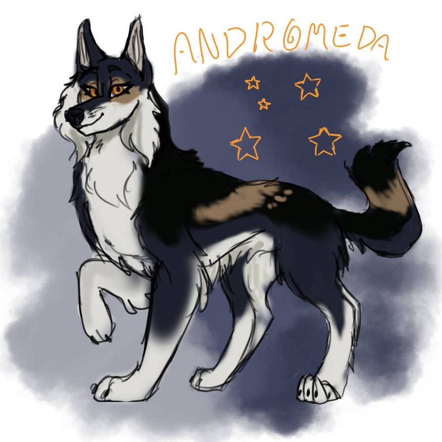 Andromeda Fox Adult Andromeda Design by planetariaspoon on DeviantArt