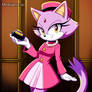 Blaze the cat in pink dress