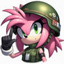 Amy rose military
