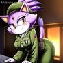 Blaze the cat military