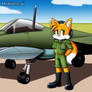Tails Prower in air force