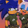 Sonic and military rouge