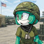 Sonar the Fennec military