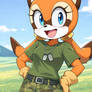 Marine the Raccoon military