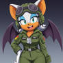 Rouge The bat Pilot