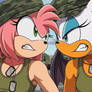 Amy Rose and Rouge the Bat, angry soldiers
