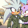 Silvaze military