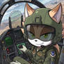 Mia the cat, Air Force pilot
