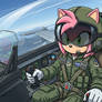 Amy Rose, Air Force pilot