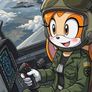 Cream the Rabbit, Air Force pilot