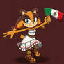 Sticks the Badger mexican dress