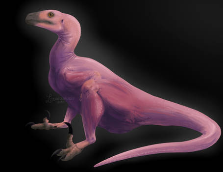 Featherless dromaeosaurus