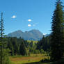 Wasenmoos, Pass Thurn, Austria