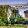 Wiener Innenhof - Courtyard in Vienna