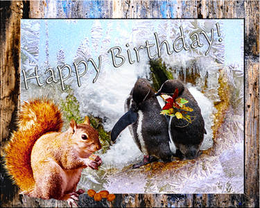 Happy Birthday February 2019