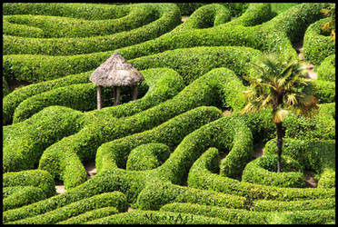 Into the Green Maze
