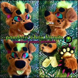 puppy premade (sold)