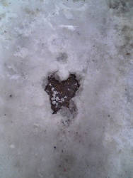 Ice Heart