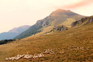 Pastures of Bucegi by Stormfari