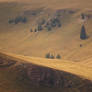 Hills of Bucegi