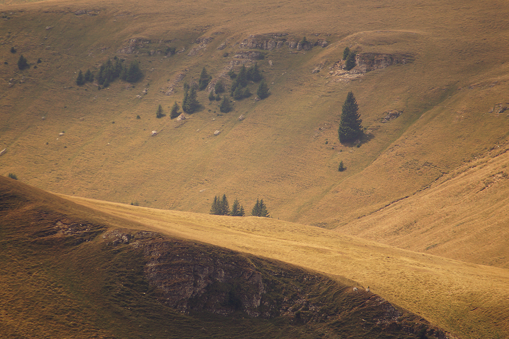 Hills of Bucegi