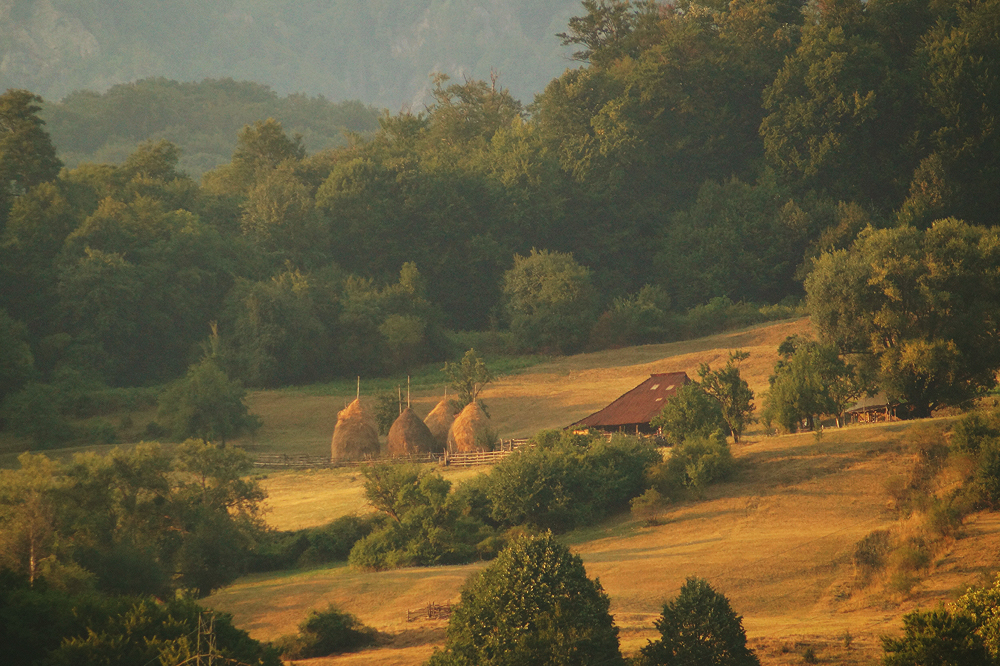 Charms of Romanian Village