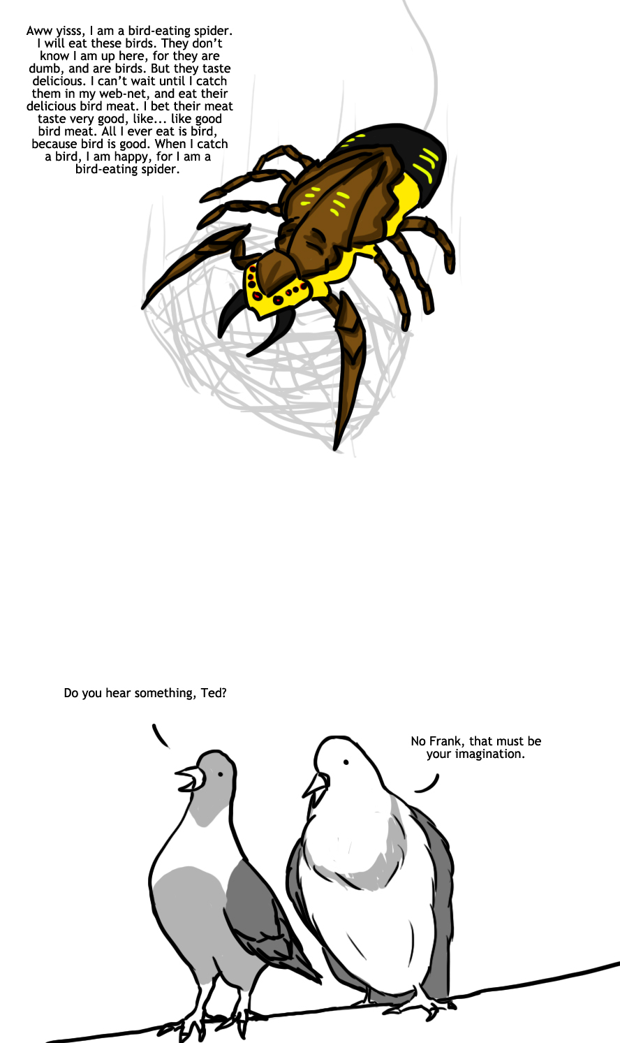 Bird-Eating Spider