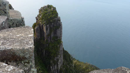 The tower of nature.