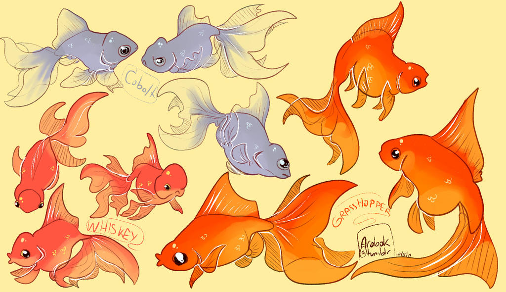 Deviantart 2007 Goldfish Goldfish commission by nicegaydog on DeviantArt