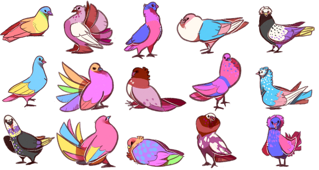 Pride Pigeons!!!