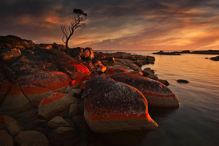 Bay of fires by Michaelthien
