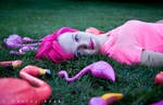 flamingo dreams part2 by khavi