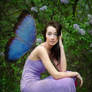 lilac fairy