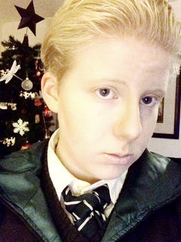 Christmas With Draco!