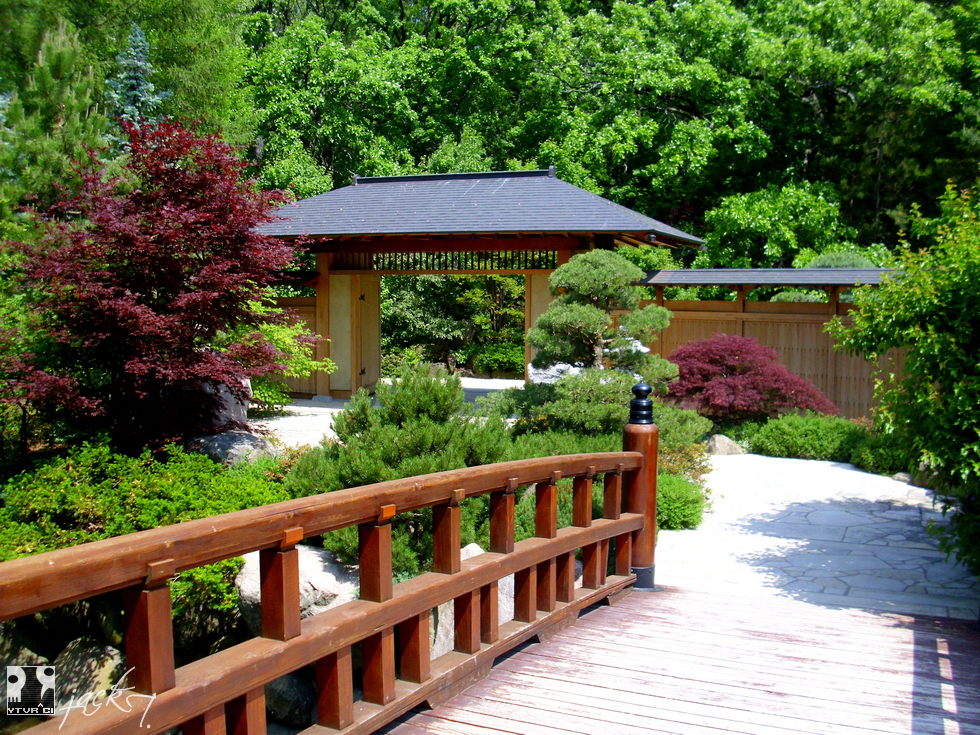 Japanese Garden