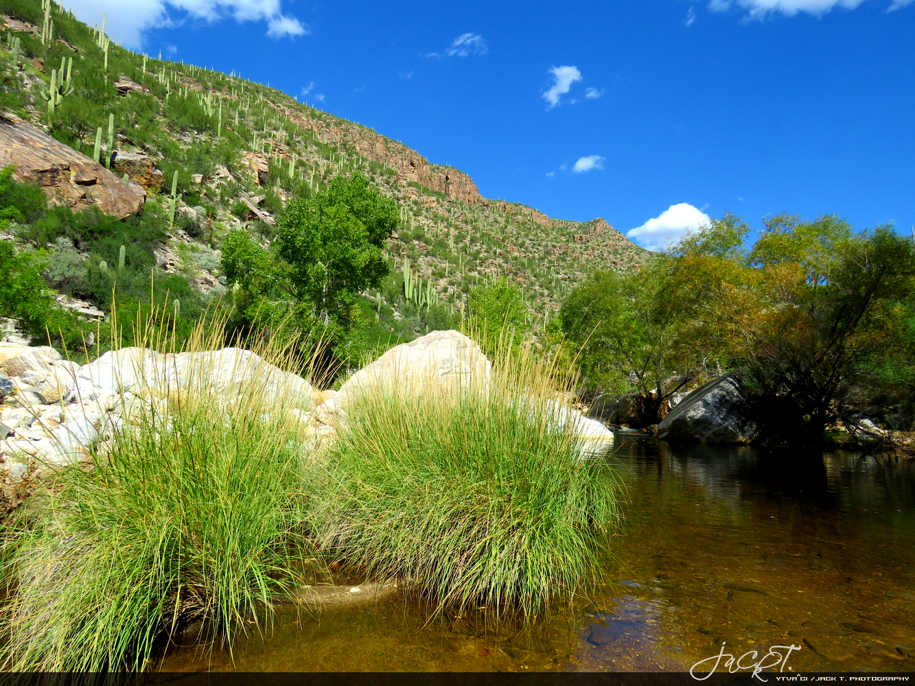 Exploring Arizona - P3