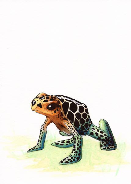 Leaping Turtle Leaping Turtle by ShedSimas on DeviantArt