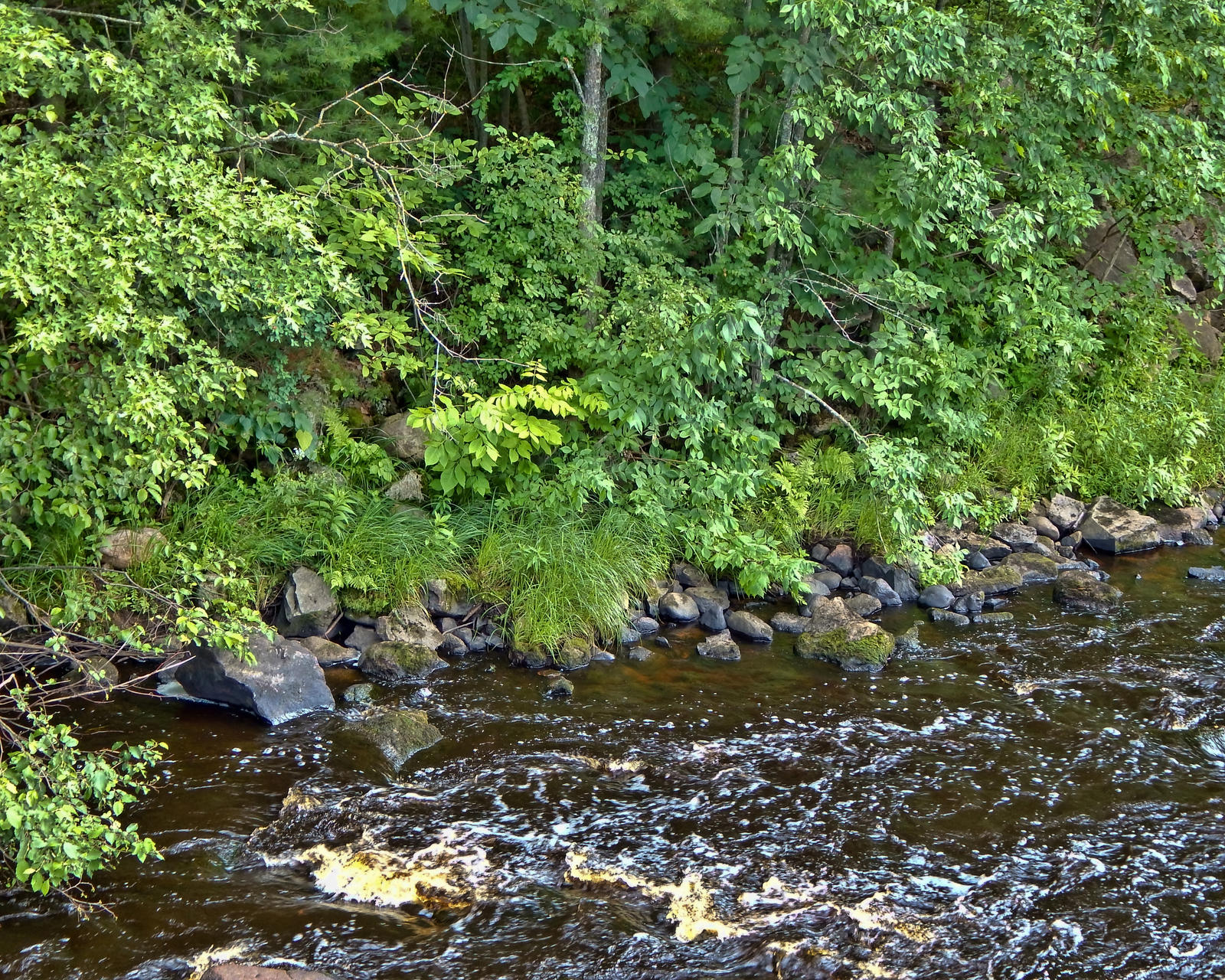 Tea Time By The Creek