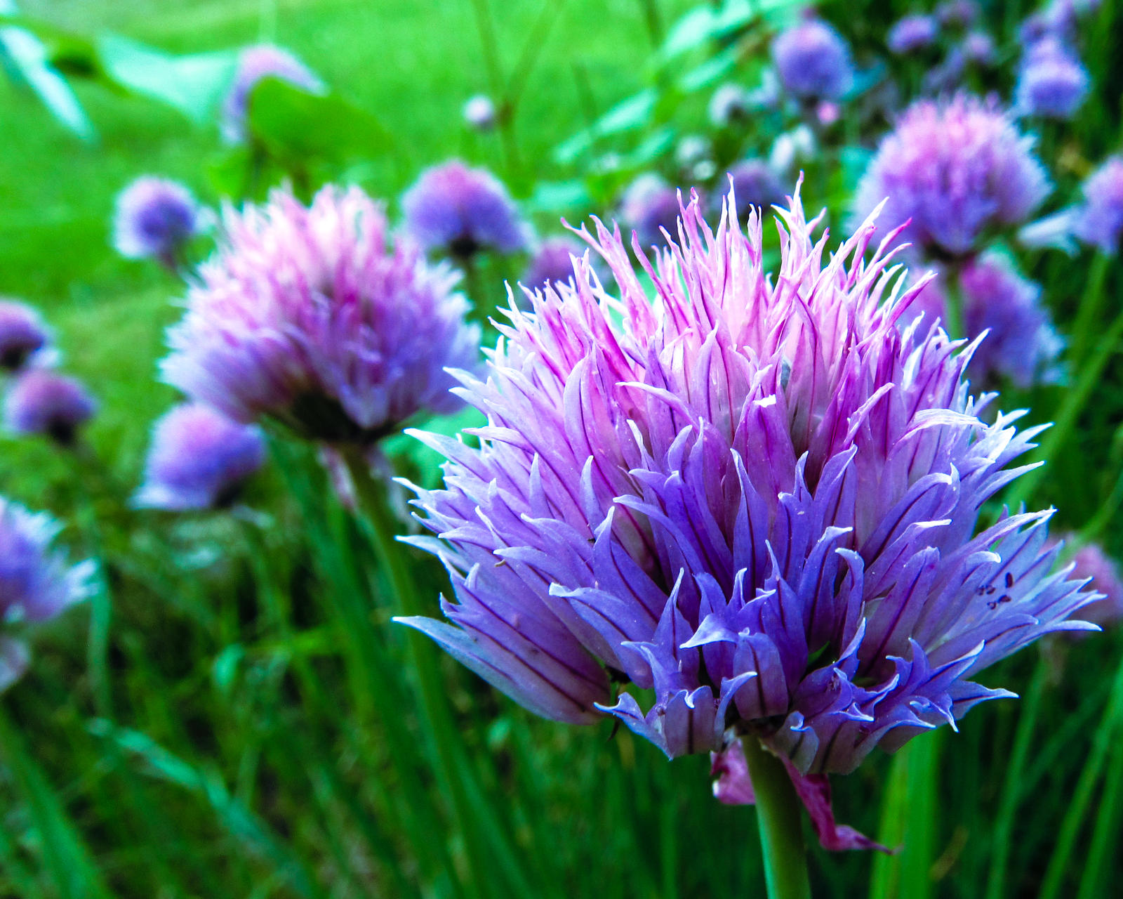 Where We Go by CRGFree on DeviantArt