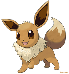 Evoli - Eevee