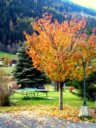 Neustift in Stubaital