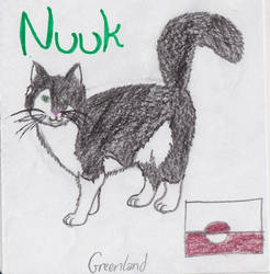 Nuuk (Catalia- Greenland)