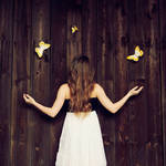 my butterflies by patrycjanna
