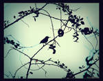 tiny life by iAJK
