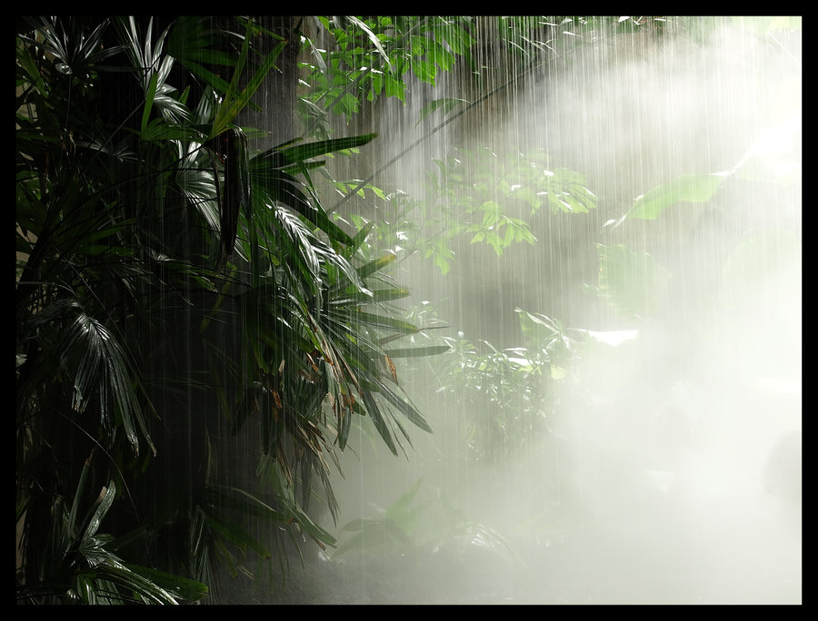 Jungle Mist by ESystem on DeviantArt