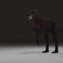 Maip Redesign Render