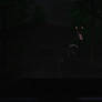 Maip Road Encounter